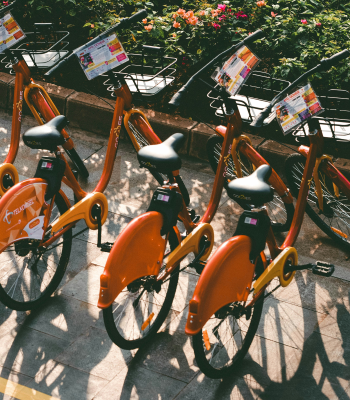 Schoolbezoek Fietstocht met gids Hamburg